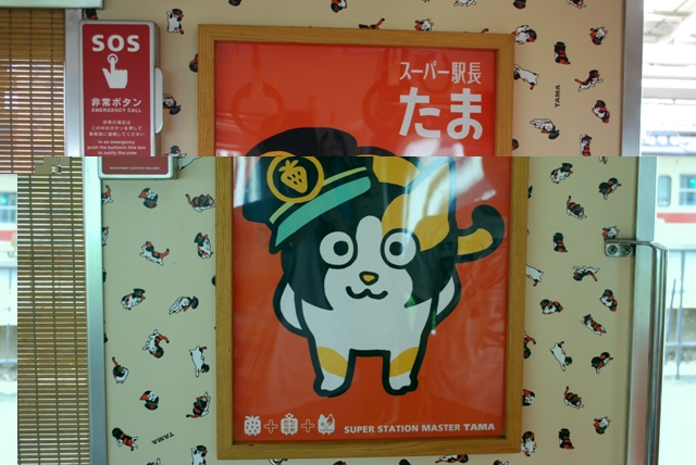 2012.7.15 kishigawa